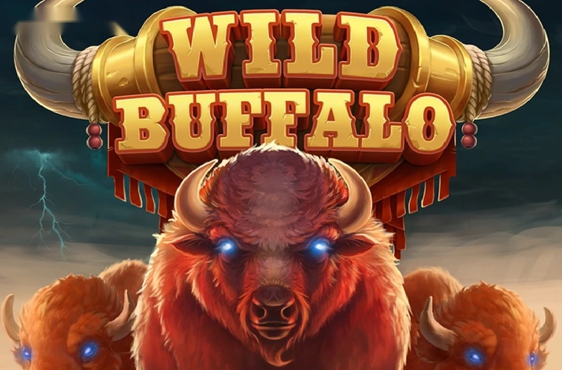 5 Wild Buffalo Slot